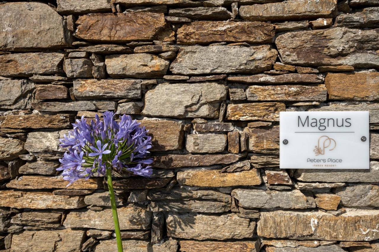 Peters Place - Paros Resort Parasporos Zewnętrze zdjęcie